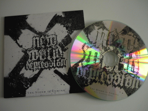 New World Depression : The Storm Is Coming